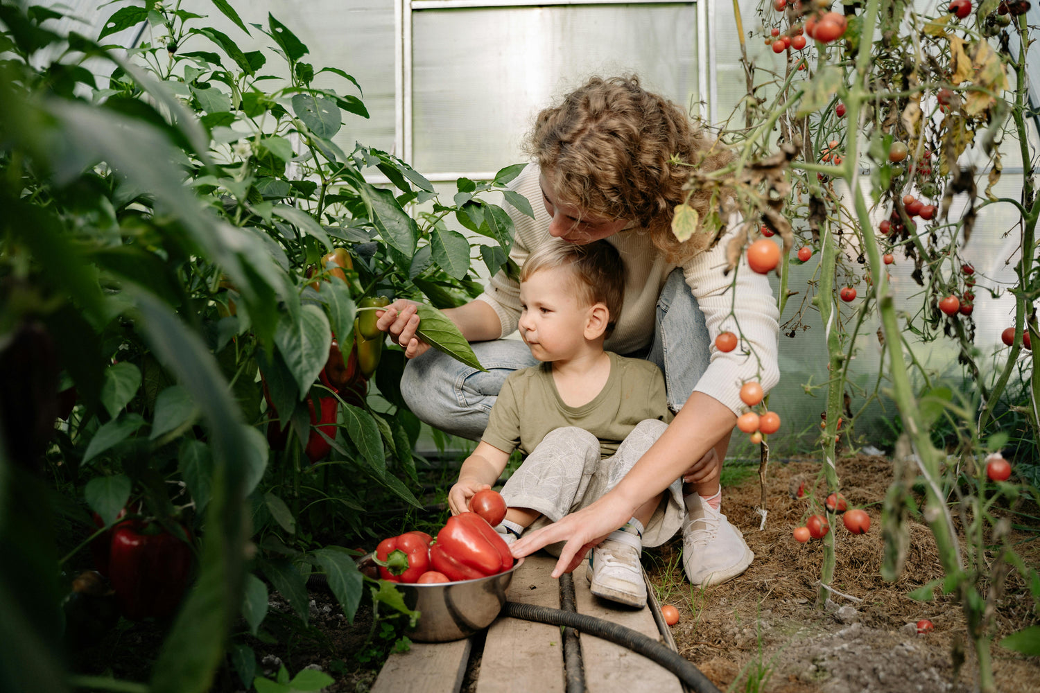 Photo by Yan Krukau: https://www.pexels.com/photo/a-woman-harvesting-red-peppers-and-tomatoes-at-the-garden-5479515/