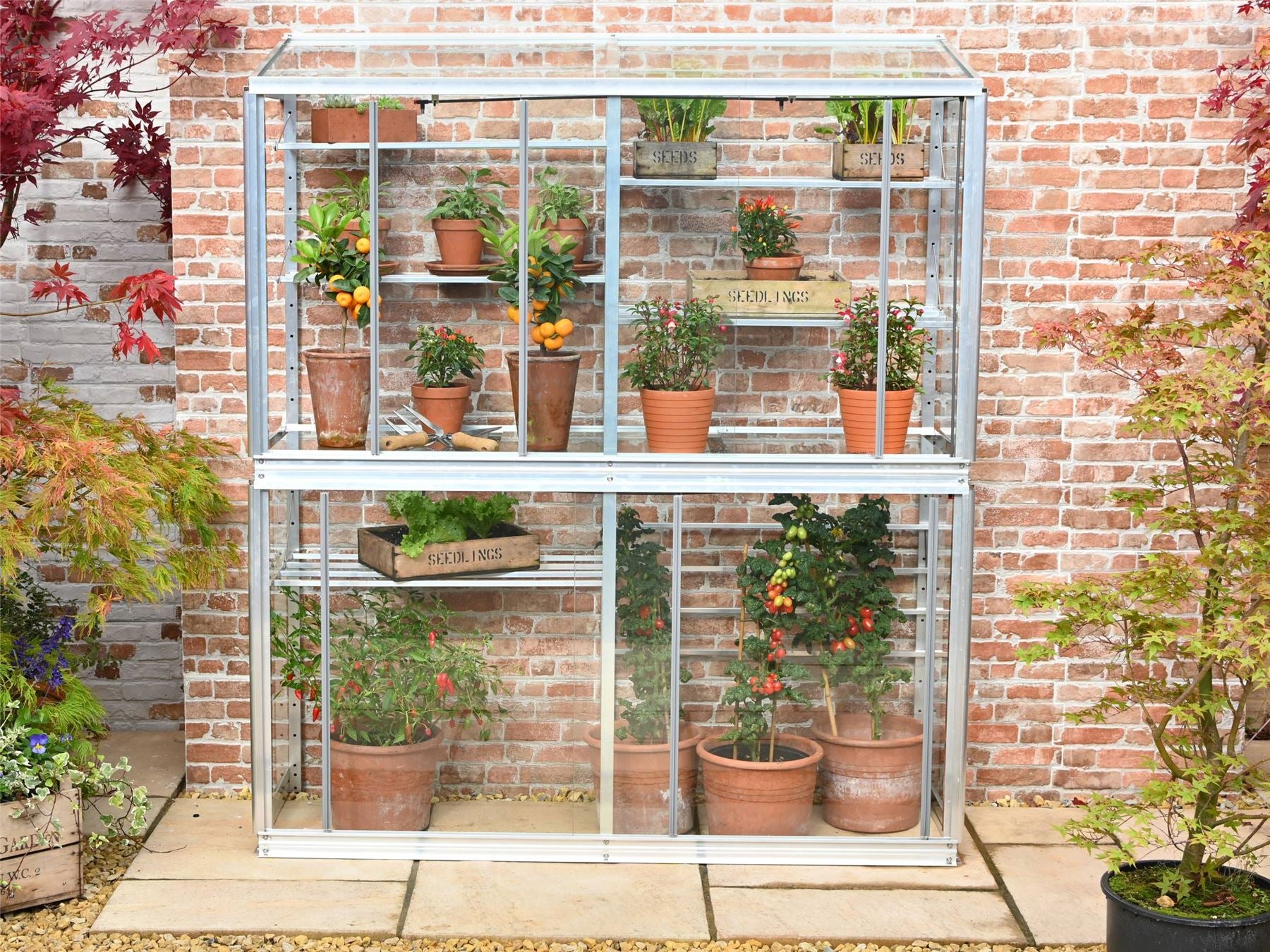 This is the Hampton Greenhouse without coating, its a two storey greenhouse, that includes shelving. The greenhouse is 5&quot; tall, the background is of a paved patio on which the greenhouse stands front facing. In the greenhouse are a variety of potted plants including oranges and tomatoes. 