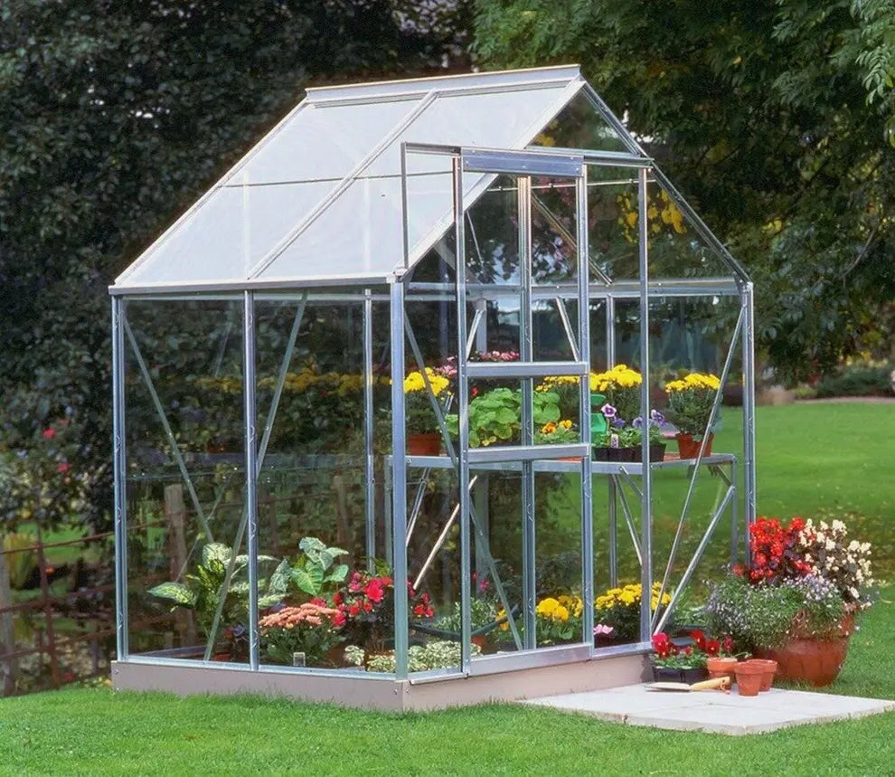 POPULAR 64 6ft x 4ft Greenhouse