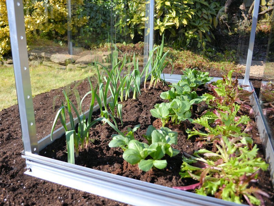 Racing Green Half Cold Frame