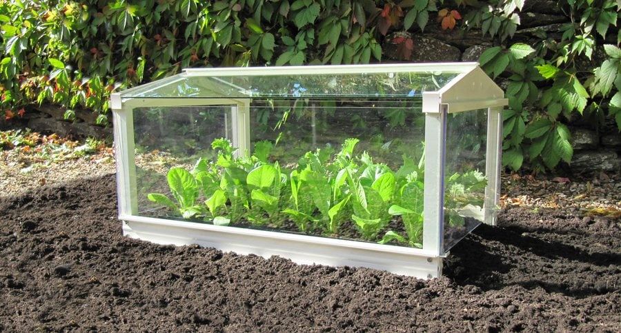 Access Garden Cloche - Plain