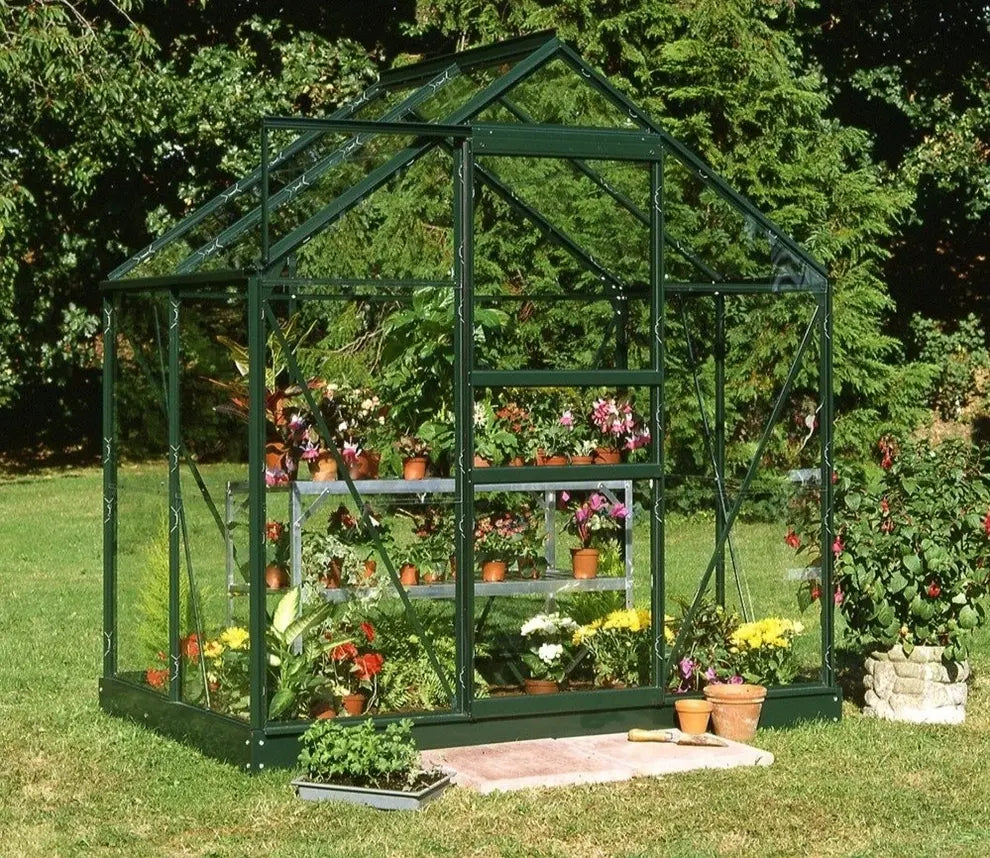 POPULAR 64 6ft x 4ft Greenhouse