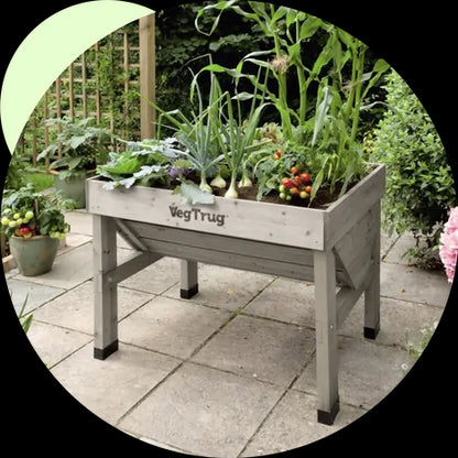 Small Classic VegTrug - Grey Wash