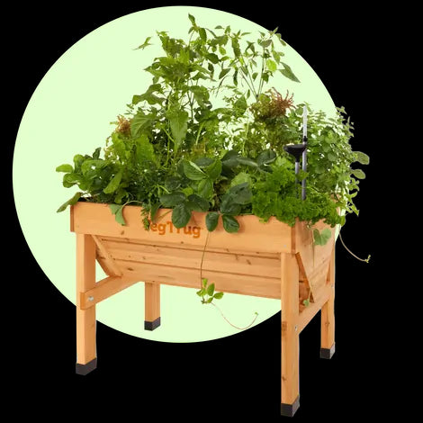 Small Classic VegTrug - Natural