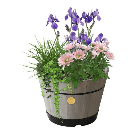 Build a Barrel Kit with vibrant flowers and foliage in garden or patio area