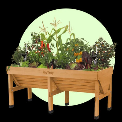 Medium Classic VegTrug - Natural