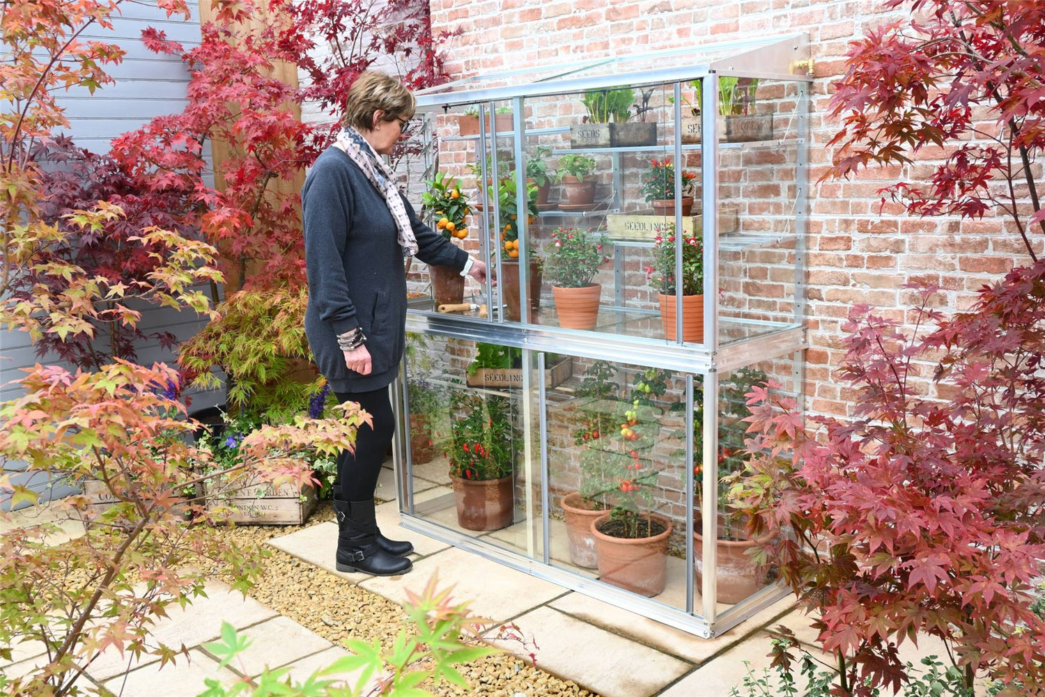 Image is of a women with blonde hair and dark clothing is tending to plants in an aluminium greenhouse. This is the Hampton Greenhouse without coating, its a two storey greenhouse, that includes shelving. The greenhouse is 5&quot; tall, the background is of a paved patio on which the greenhouse stands with red and green acer plants to the background and foreground.