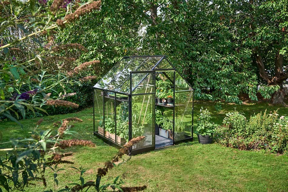 QUBE 66 6ft x 6ft Greenhouse