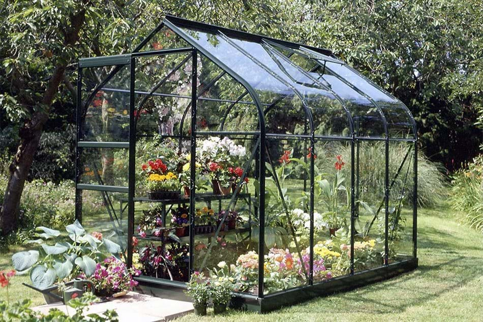 SUPREME 68 6ft x 8ft Green Greenhouses