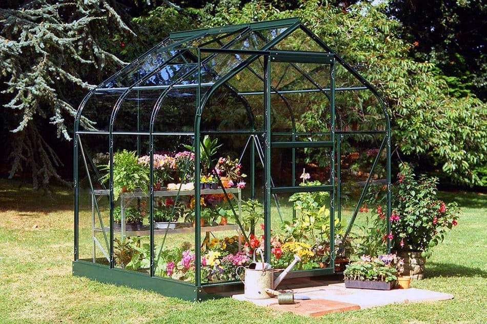 SUPREME 66 6ft x 6ft Green Greenhouse